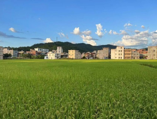 热刺VS埃弗顿直播_热刺VS埃弗顿多语种解说高清直播_热刺VS埃弗顿直播实时统计 热刺VS埃弗顿直播_热刺VS埃弗顿多语种解说高清直播_热刺VS埃弗顿直播实时统计